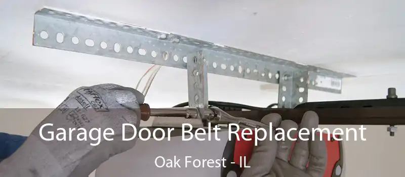  Garage Door Belt Replacement Oak Forest - IL