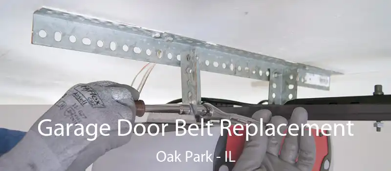  Garage Door Belt Replacement Oak Park - IL