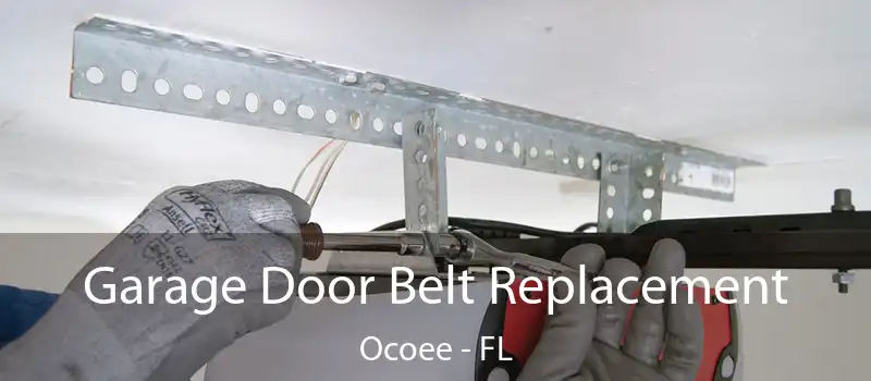  Garage Door Belt Replacement Ocoee - FL