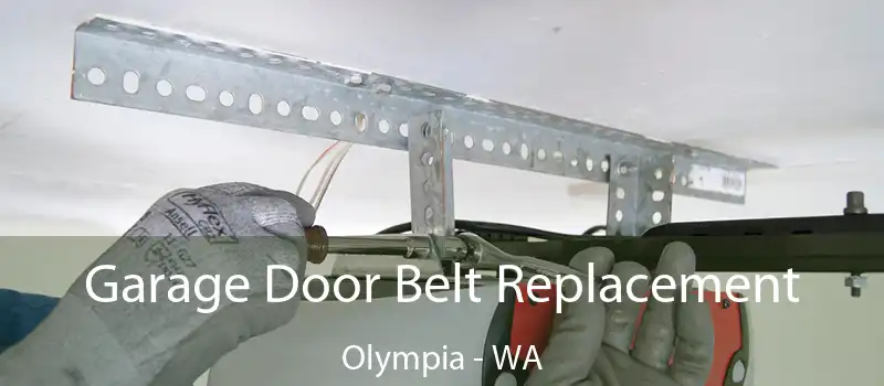  Garage Door Belt Replacement Olympia - WA
