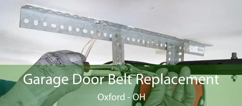  Garage Door Belt Replacement Oxford - OH