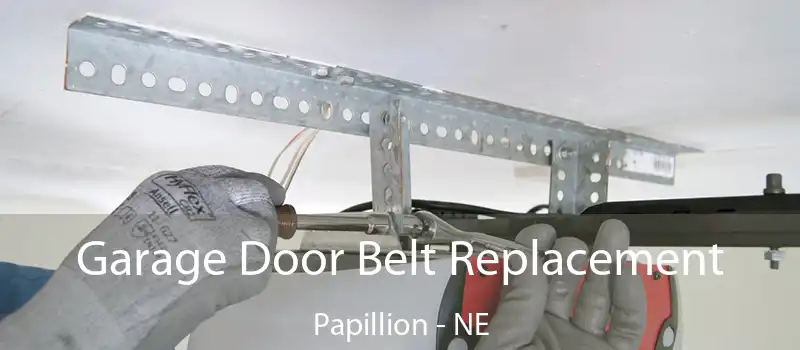  Garage Door Belt Replacement Papillion - NE