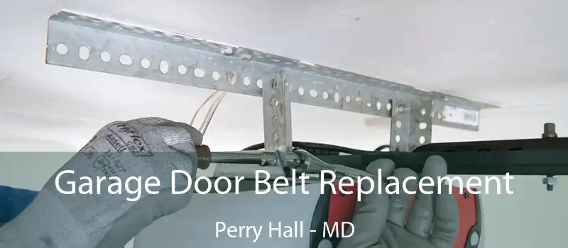  Garage Door Belt Replacement Perry Hall - MD