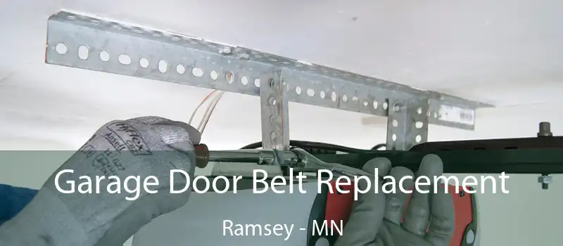  Garage Door Belt Replacement Ramsey - MN