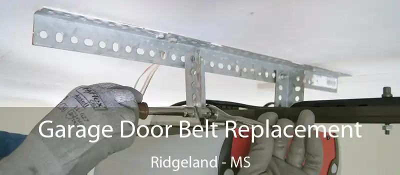  Garage Door Belt Replacement Ridgeland - MS