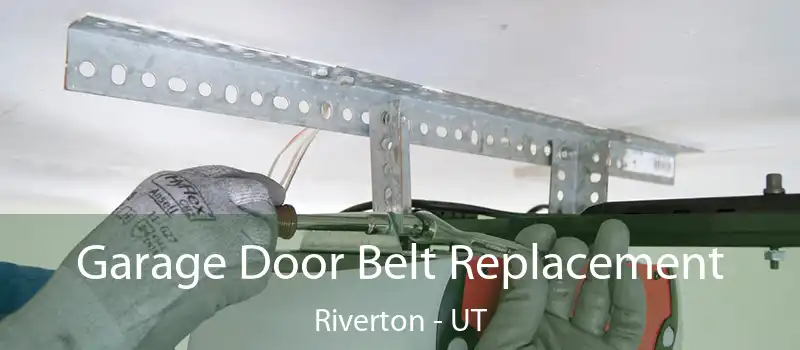  Garage Door Belt Replacement Riverton - UT