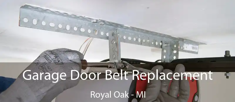  Garage Door Belt Replacement Royal Oak - MI