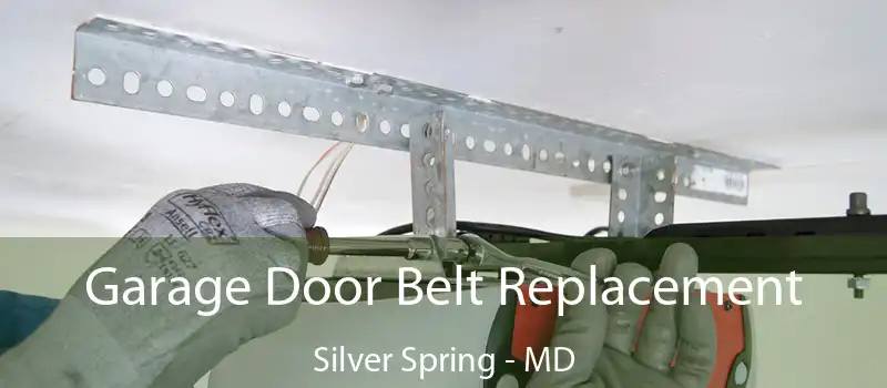  Garage Door Belt Replacement Silver Spring - MD