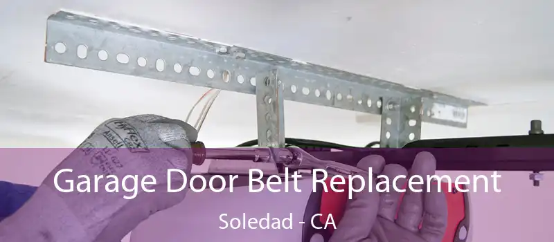  Garage Door Belt Replacement Soledad - CA