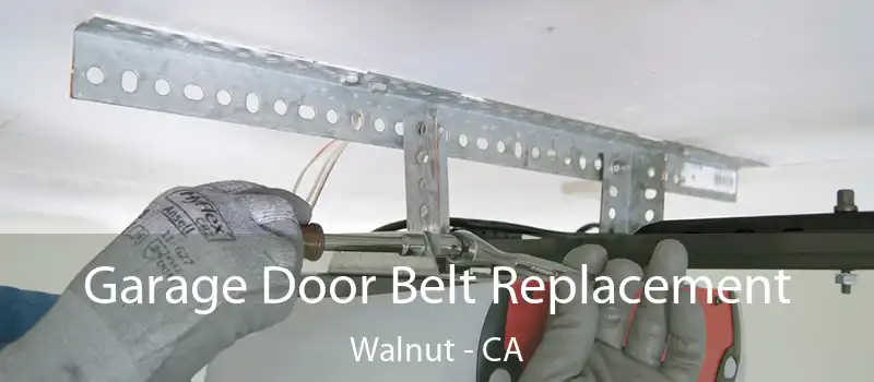  Garage Door Belt Replacement Walnut - CA