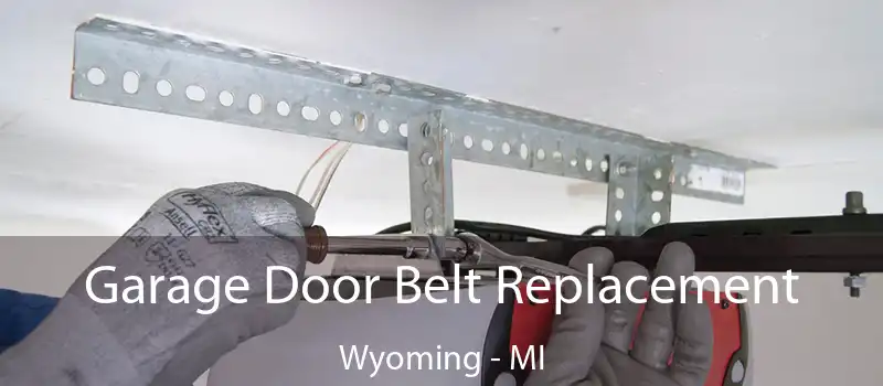  Garage Door Belt Replacement Wyoming - MI