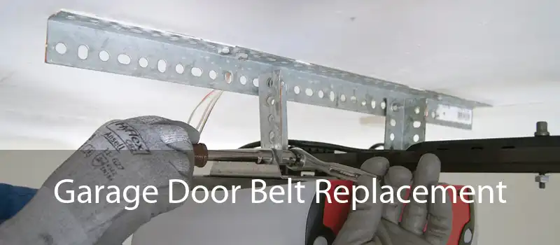  Garage Door Belt Replacement 
