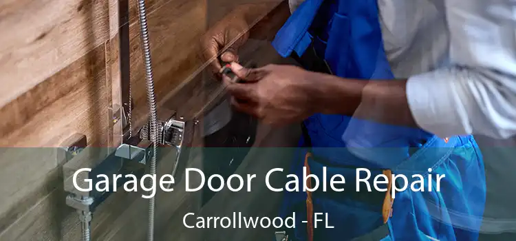  Garage Door Cable Repair Carrollwood - FL