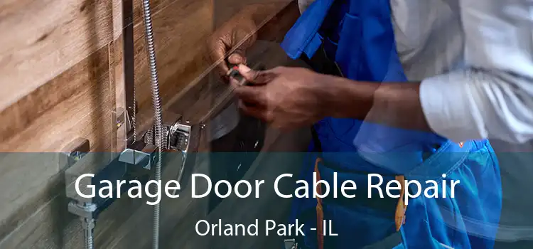  Garage Door Cable Repair Orland Park - IL