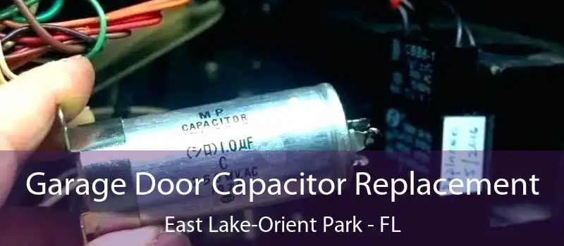  Garage Door Capacitor Replacement East Lake-Orient Park - FL