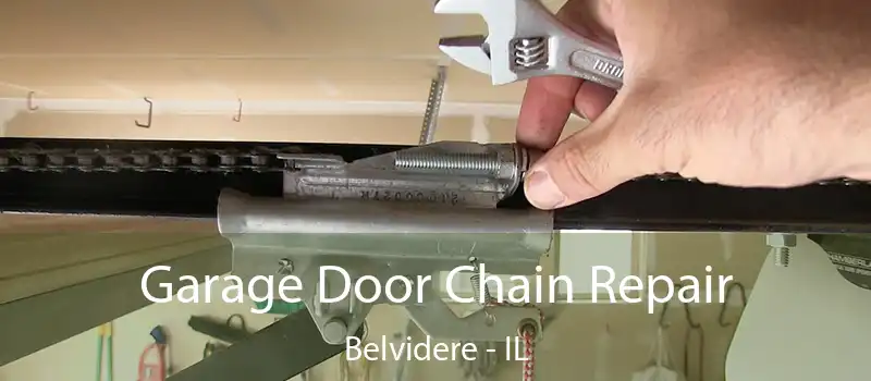  Garage Door Chain Repair Belvidere - IL