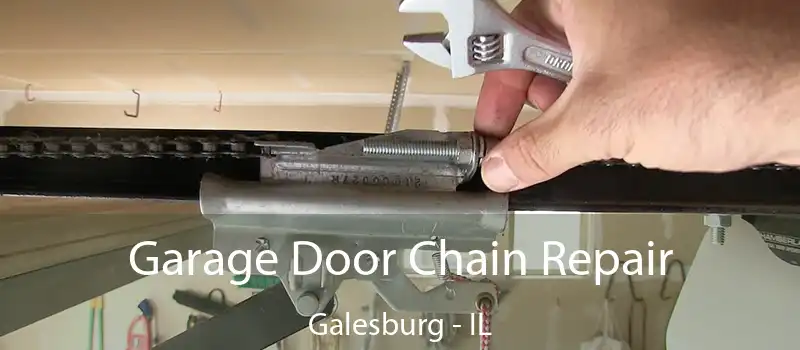  Garage Door Chain Repair Galesburg - IL