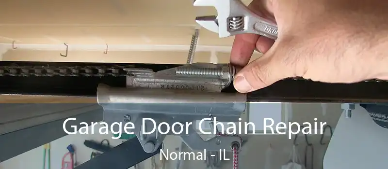  Garage Door Chain Repair Normal - IL