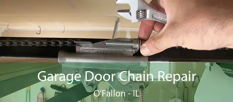  Garage Door Chain Repair O'Fallon - IL