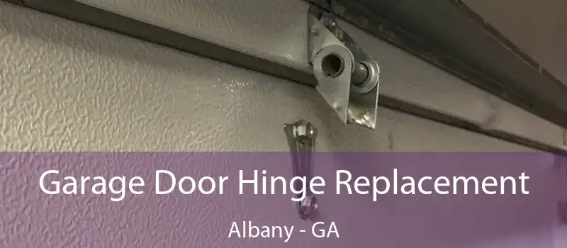  Garage Door Hinge Replacement Albany - GA
