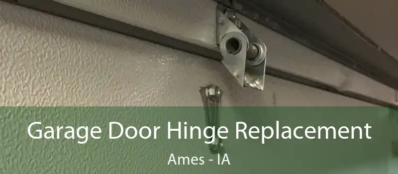 Garage Door Hinge Replacement Ames - IA
