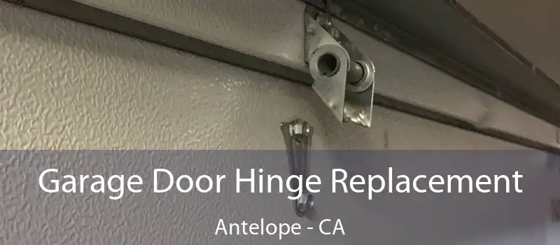 Garage Door Hinge Replacement Antelope - CA