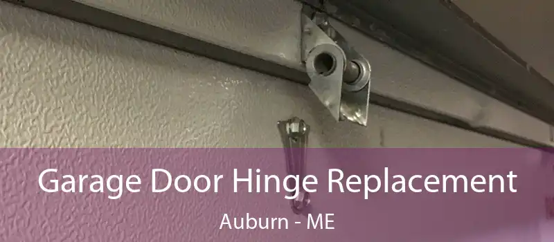  Garage Door Hinge Replacement Auburn - ME