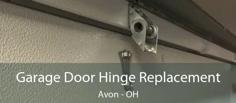  Garage Door Hinge Replacement Avon - OH