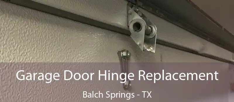 Garage Door Hinge Replacement Balch Springs - TX