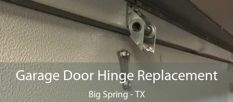  Garage Door Hinge Replacement Big Spring - TX