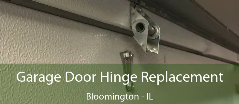  Garage Door Hinge Replacement Bloomington - IL