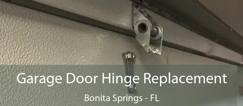 Garage Door Hinge Replacement Bonita Springs - FL