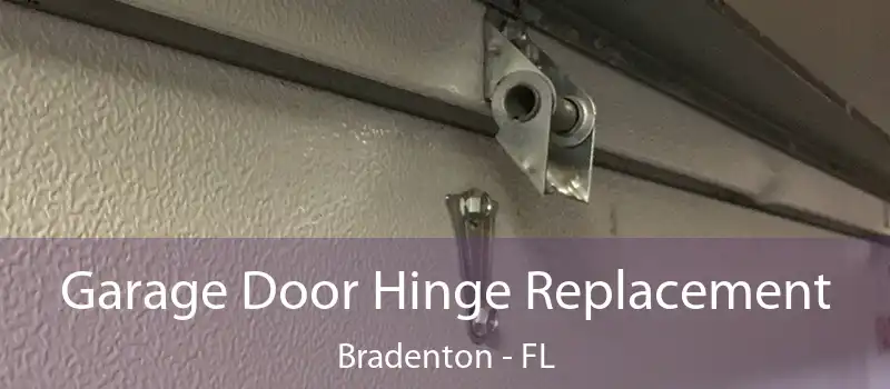 Garage Door Hinge Replacement Bradenton - FL