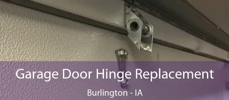  Garage Door Hinge Replacement Burlington - IA