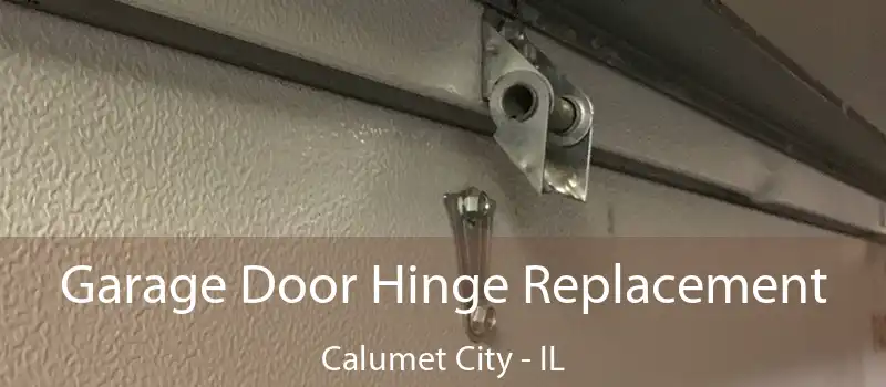  Garage Door Hinge Replacement Calumet City - IL
