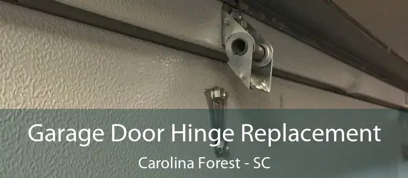  Garage Door Hinge Replacement Carolina Forest - SC
