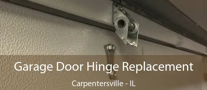  Garage Door Hinge Replacement Carpentersville - IL