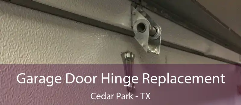  Garage Door Hinge Replacement Cedar Park - TX