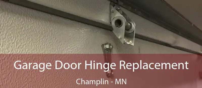 Garage Door Hinge Replacement Champlin - MN