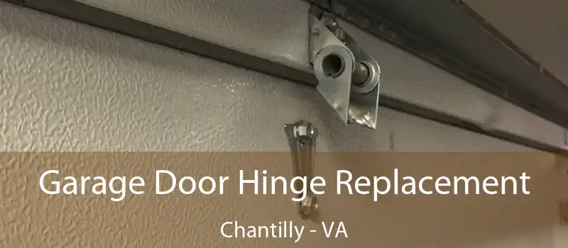  Garage Door Hinge Replacement Chantilly - VA