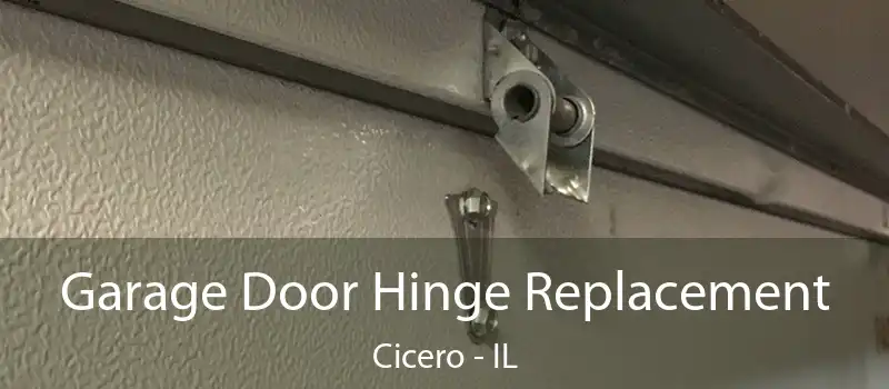  Garage Door Hinge Replacement Cicero - IL