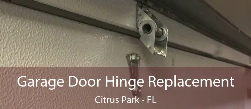 Garage Door Hinge Replacement Citrus Park - FL