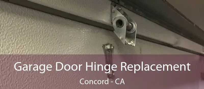  Garage Door Hinge Replacement Concord - CA