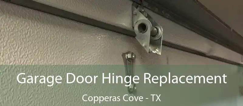  Garage Door Hinge Replacement Copperas Cove - TX