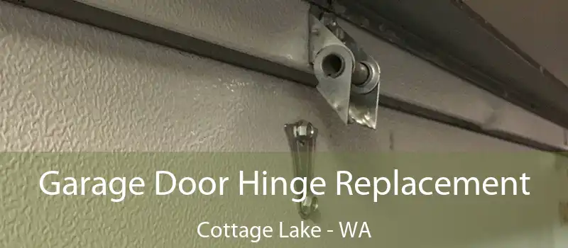  Garage Door Hinge Replacement Cottage Lake - WA