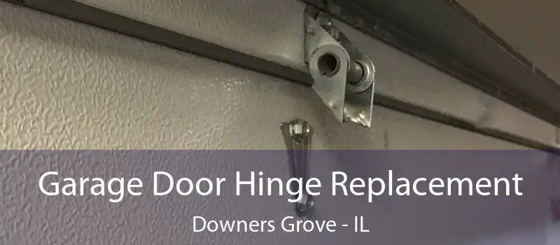  Garage Door Hinge Replacement Downers Grove - IL