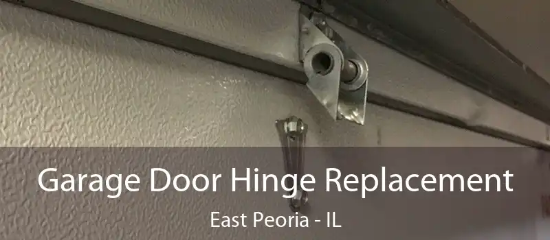  Garage Door Hinge Replacement East Peoria - IL