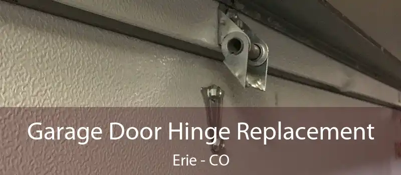  Garage Door Hinge Replacement Erie - CO