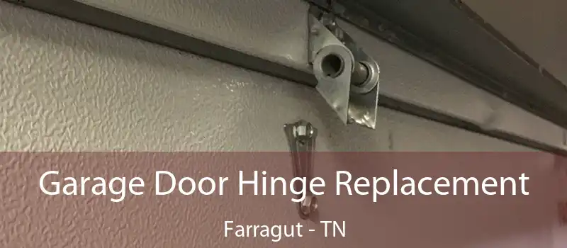  Garage Door Hinge Replacement Farragut - TN