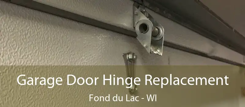  Garage Door Hinge Replacement Fond du Lac - WI
